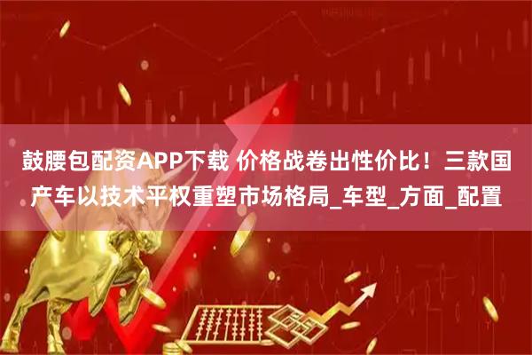 鼓腰包配资APP下载 价格战卷出性价比！三款国产车以技术平权重塑市场格局_车型_方面_配置