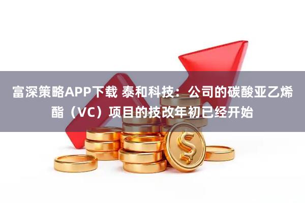 富深策略APP下载 泰和科技：公司的碳酸亚乙烯酯（VC）项目的技改年初已经开始