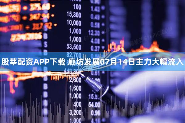 股莘配资APP下载 廊坊发展07月14日主力大幅流入