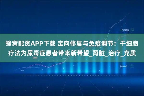蜂窝配资APP下载 定向修复与免疫调节：干细胞疗法为尿毒症患者带来新希望_肾脏_治疗_充质