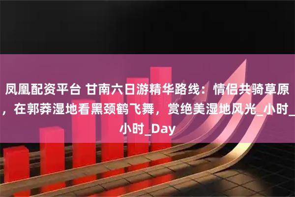 凤凰配资平台 甘南六日游精华路线:情侣共骑草原骏马,在郭莽湿地看黑颈鹤飞舞,赏绝美湿地风光_小时_Day