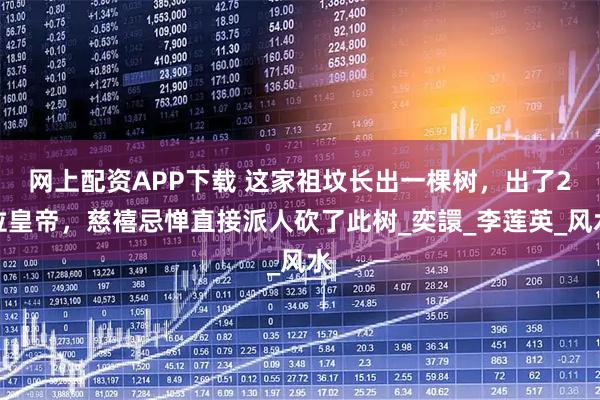 网上配资APP下载 这家祖坟长出一棵树，出了2位皇帝，慈禧忌惮直接派人砍了此树_奕譞_李莲英_风水