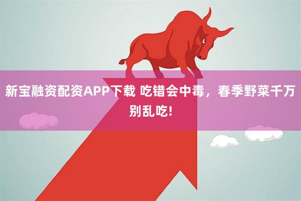 新宝融资配资APP下载 吃错会中毒，春季野菜千万别乱吃!